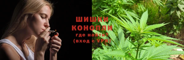 СК Алзамай