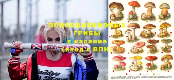 дмт Алексеевка
