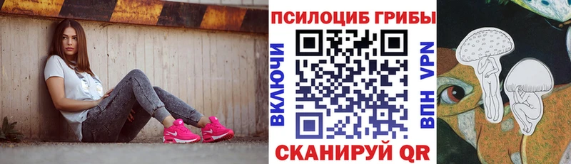 Псилоцибиновые грибы Cubensis  Талица 
